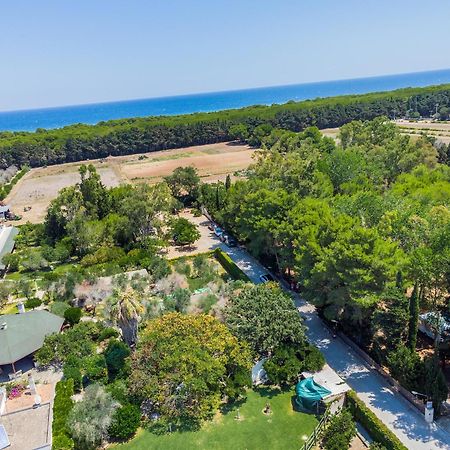 Bio Agriturismo Salos Alimini Eksteriør billede