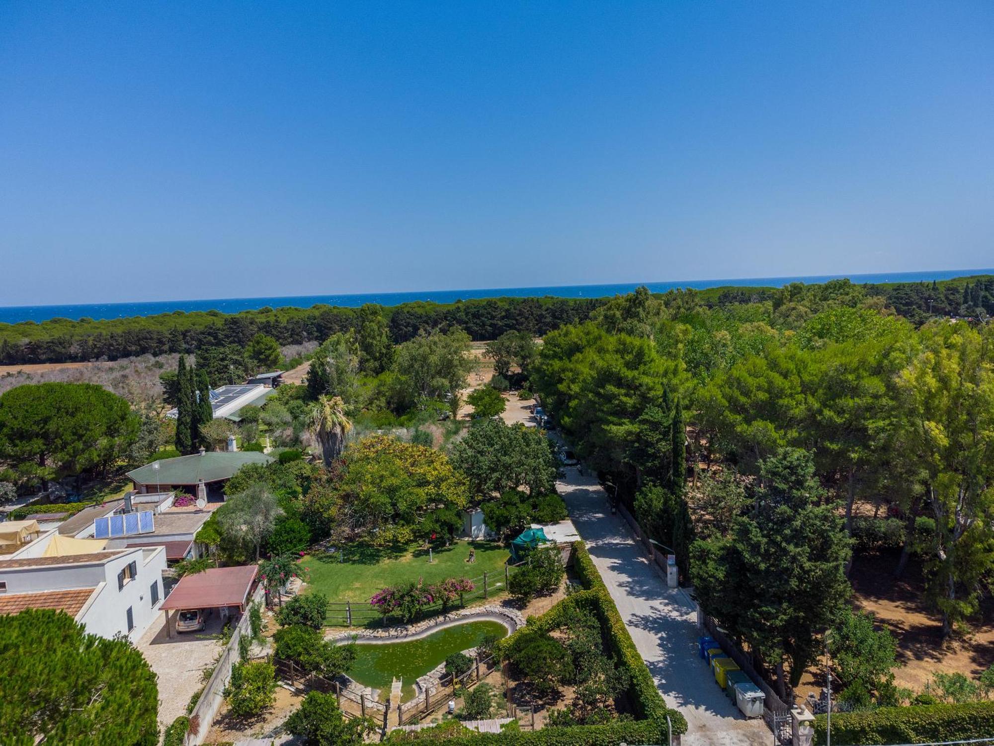 Bio Agriturismo Salos Alimini Eksteriør billede