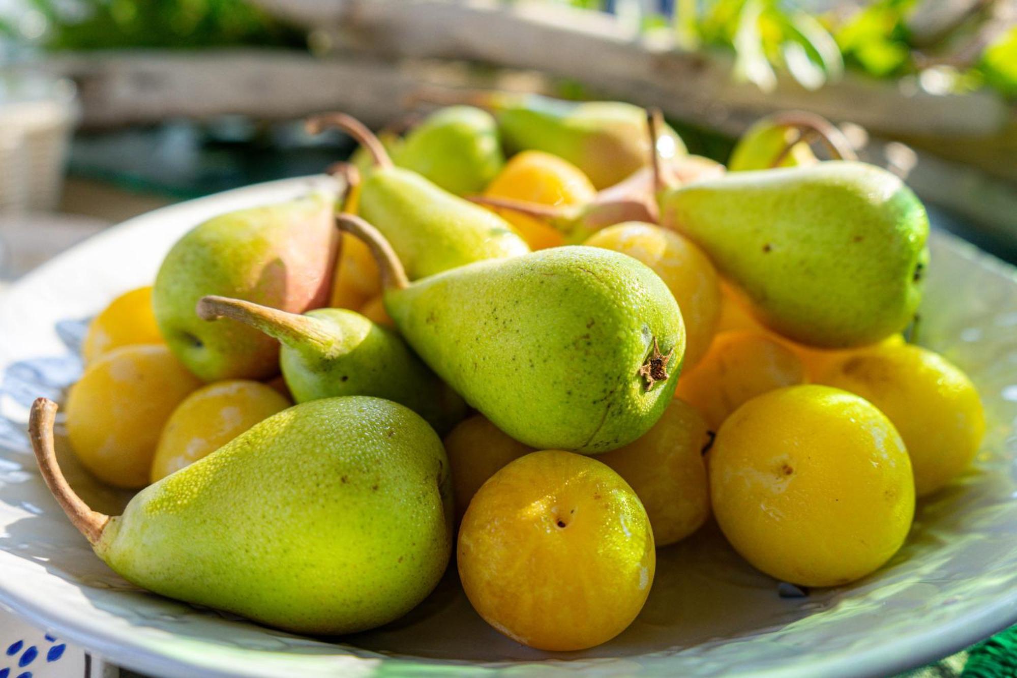 Bio Agriturismo Salos Alimini Eksteriør billede
