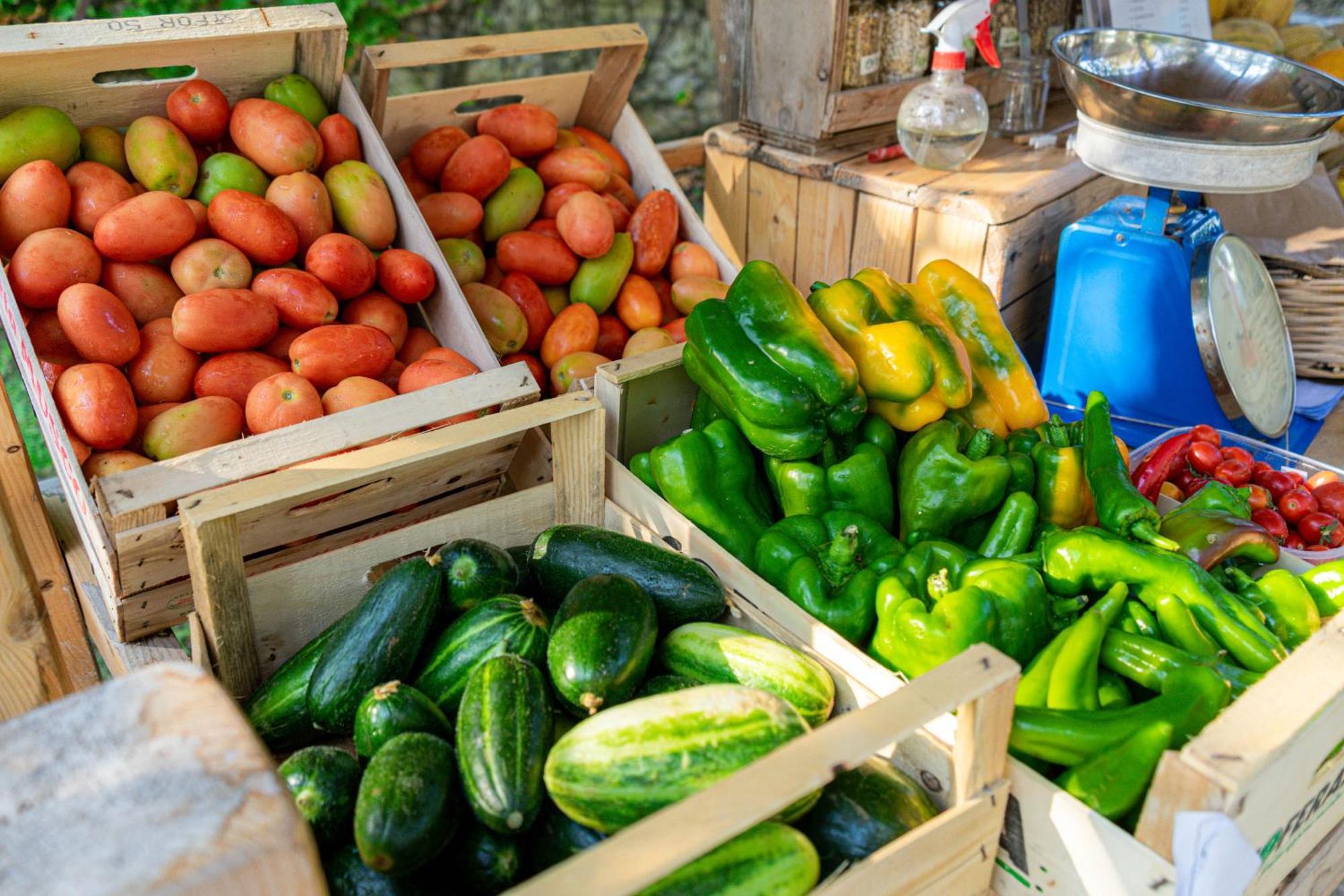 Bio Agriturismo Salos Alimini Eksteriør billede