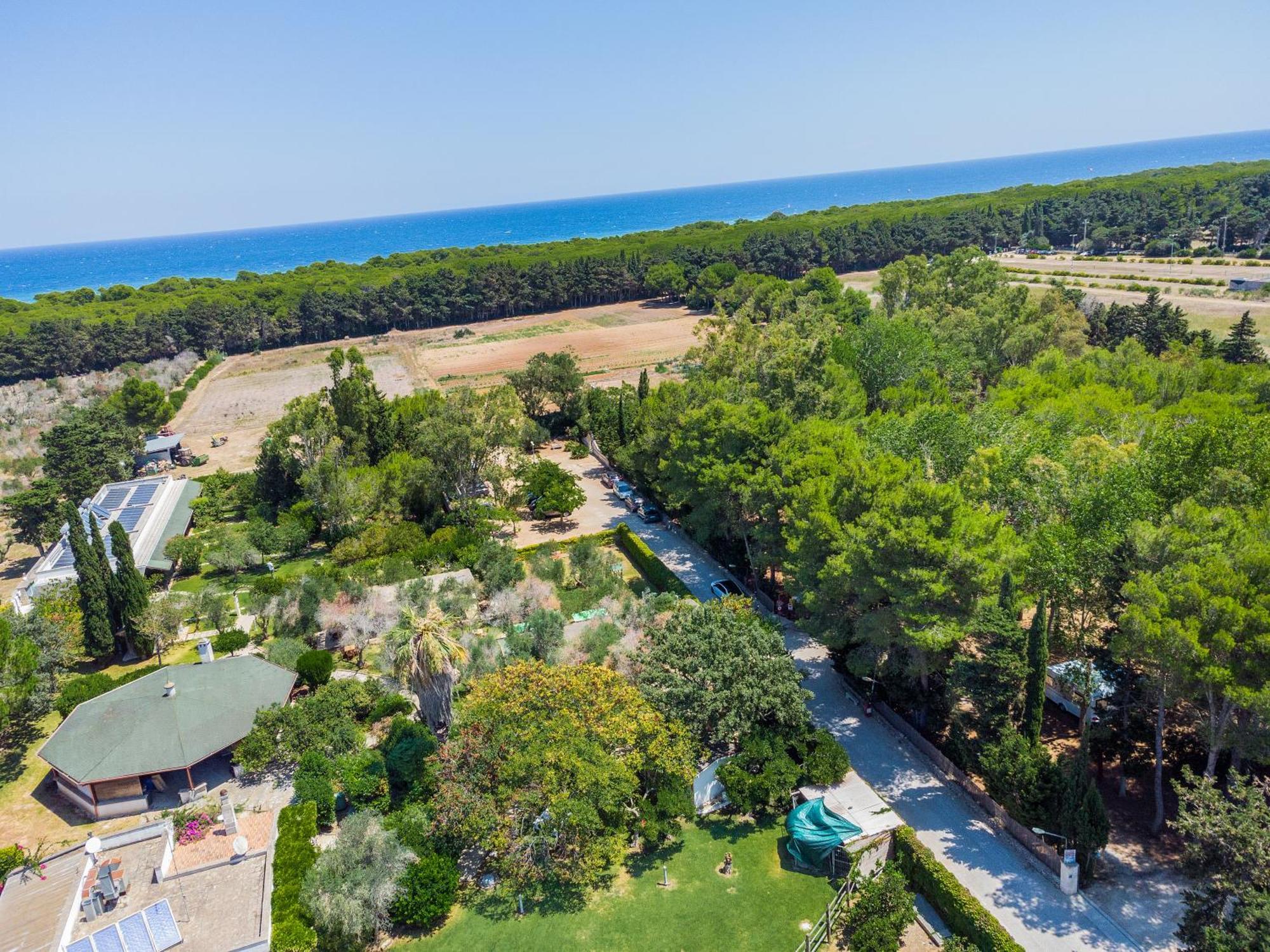 Bio Agriturismo Salos Alimini Eksteriør billede