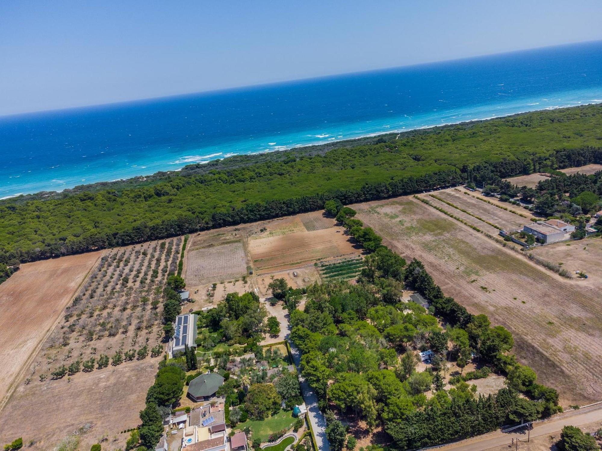 Bio Agriturismo Salos Alimini Eksteriør billede